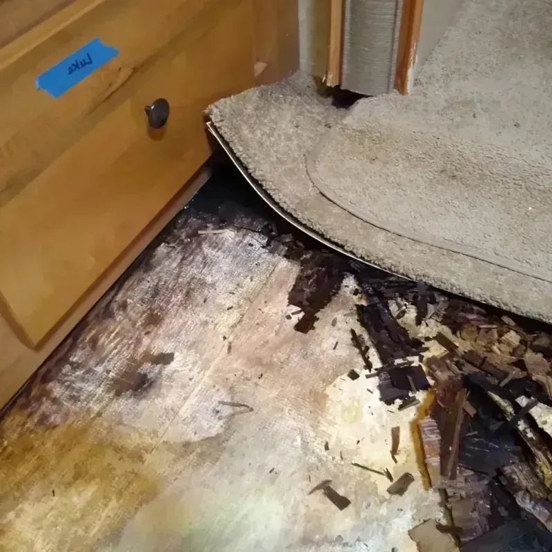 Wood Floor Water Damage in Lake City, MI